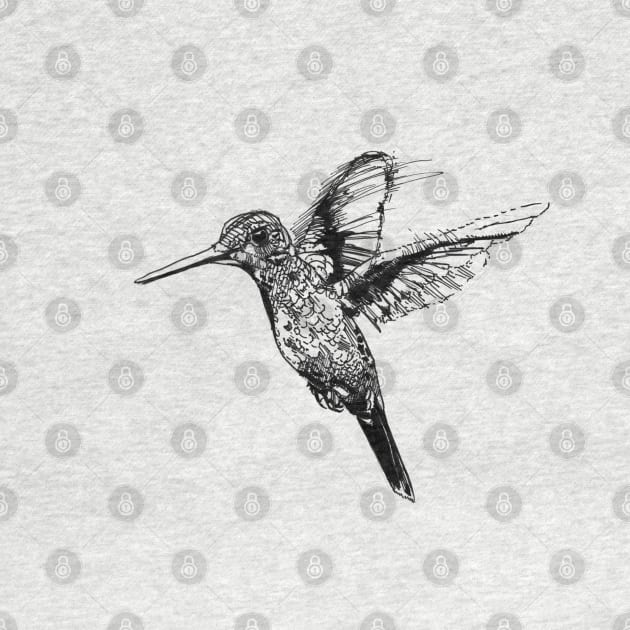 Hummingbird Ink Drawing by Fireside Press